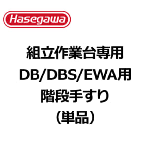 hasegawa-DB-option-07