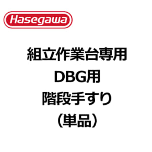 hasegawa-DBG-option-05