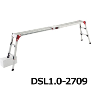 hasegawa-DSL10