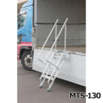 hasegawa-MTS-option