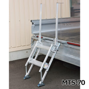 hasegawa-MTS-option
